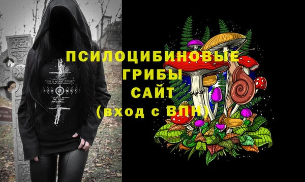 крисы Володарск