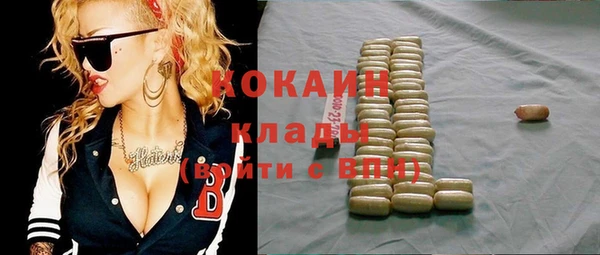 твердый Сясьстрой
