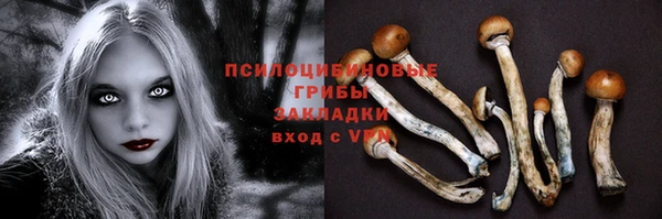 гидра Бронницы