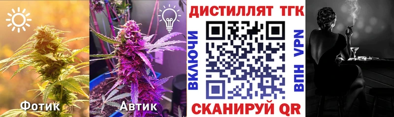 ТГК концентрат  KRAKEN tor  Новосокольники 